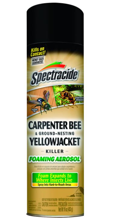 YELLOW JACKET KILLER FOAM 16OZ