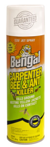 CARPENTER BEE & ANT FOAM 16OZ