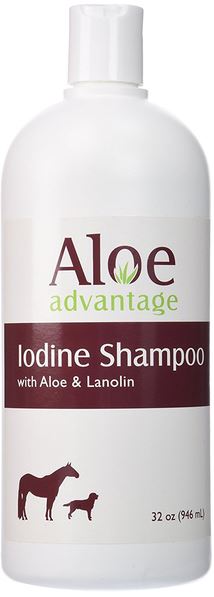 IODINE SHAMPOO W/ALOE 1QT