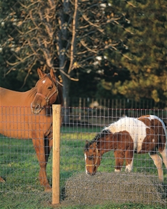 RED BRAND HORSE FENCE 48IN 100FT