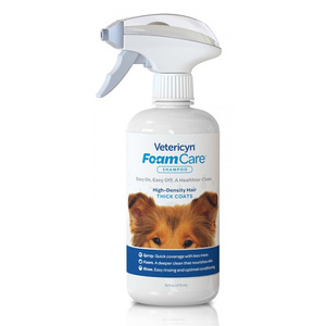 FOAMCARE SHAMPOO 16OZ