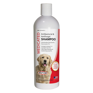 ANTIBAC&ANTIFUNGAL SHAMPOO 16OZ