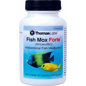 FISH MOX FORTE 500MG - 30CT