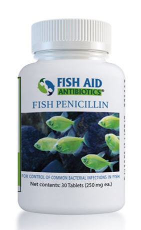 FISH PEN 250MG - 30CT