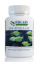 FISH PEN 250MG - 30CT