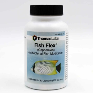 FISH CEPLALEXIN 250MG 100 COUNT