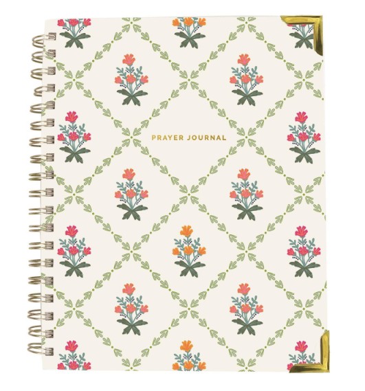 PAYER JOURNAL PETAL PATH