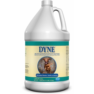 DYNE HIGH CAL SUPPLEMENT 1GAL