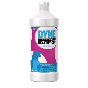 DYNE PRO HG HEALTHY GUT 32OZ