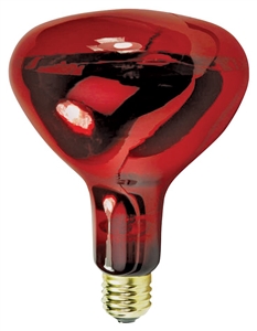 RED HEAT LAMP BULB 250W