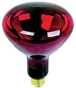RED HEAT LAMP BULB 250W R40