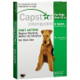 CAPSTAR DOG TABLETS 25+LBS FLEA TREATMENT