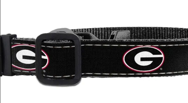 BLACK UGA OVAL DOG COLLAR
