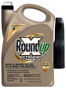 EXTENDED WEED&GRASS KILLER 1 GALLON