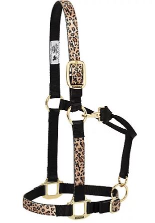 PATTERNED ADJUSTABLE HALTER