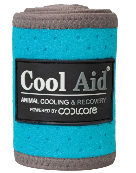 EQUINE ICING & COOLING POLO WRAP