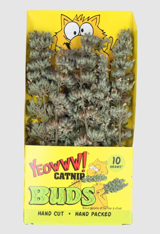 YEOWWW CATNIP BUDS 6PK