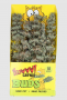 YEOWWW CATNIP BUDS 6PK