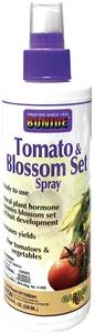 TOMATO & BLOSSOM SET 8OZ
