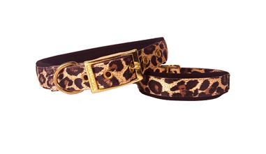 WILD LEOPARD DOG COLLAR 1X18"