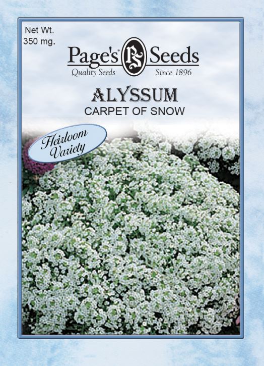 CARPET OF SNOW ALYSSUM 350MG