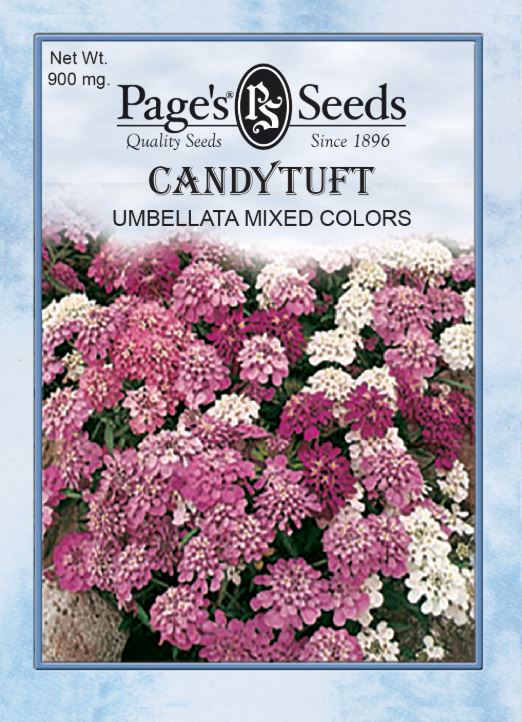 UMBELLATA MIX CANDYTUFT 900MG