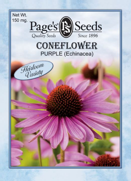 PURPLE CONEFLOWER 150MG