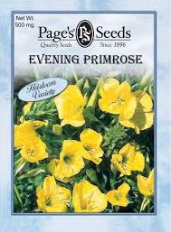 EVENING PRIMROSE 500MG