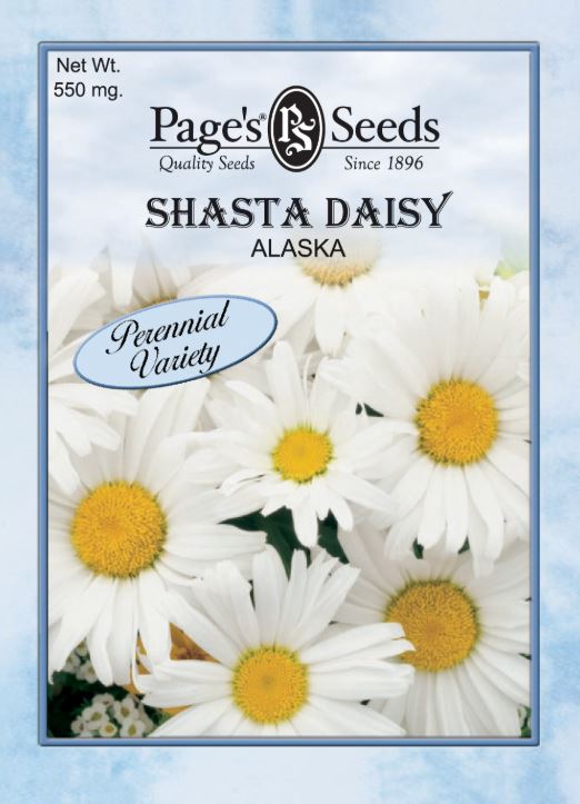ALASKA SHASTA DAISY 500MG