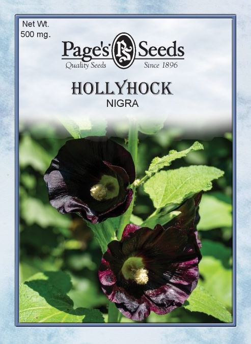 NIGRA HOLLYHOCK 500MG
