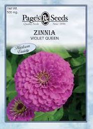 VIOLET QUEEN ZINNIA 500MG