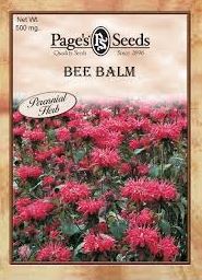 BEE BALM 500MG