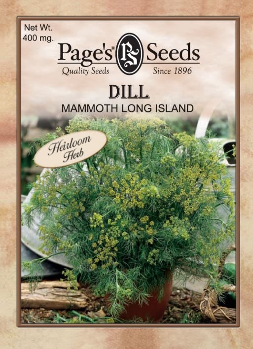 MAMMOTH LONG ISLAND DILL 350MG