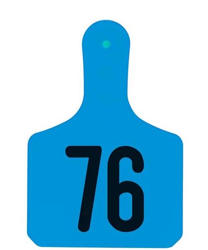 BLUE CALF Y-TAGS 76-100