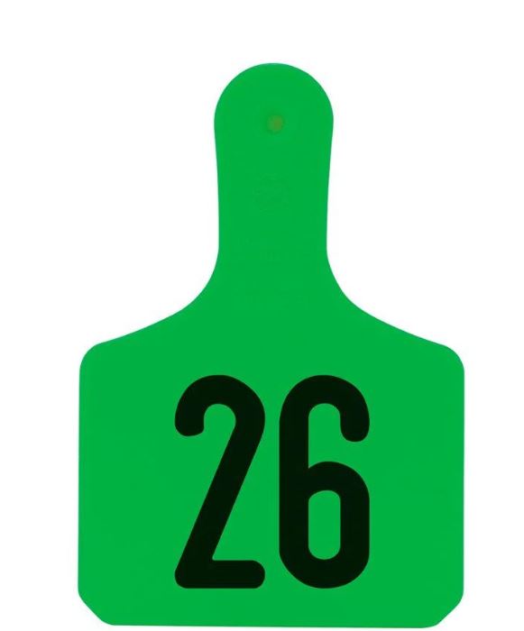 GREEN CALF Y-TAG 26-50