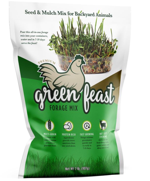 GREEN FEAST CHICKEN FORAGE MIX