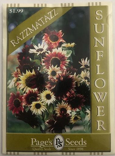 RAZZMATAZZ SUNFLOWER 640MG