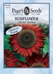 VELVET QUEEN SUNFLOWER 1.5G