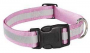 REFLECTIVE PINK DOG COLLAR 6-10IN