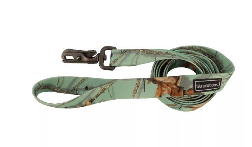 EQUINOX DOG LEASH 1"X6'