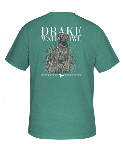 BROWN LAB TEE SEA BLUE