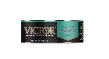 VICTOR TURKEY & SALMON CAT FOOD