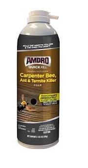 BEE, ANT & TERMITE KILLER 18OZ