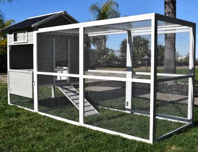 FONTANA WOODEN CHICKEN COOP