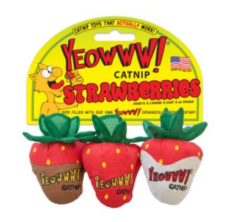 CATNIP STRAWBERRY CAT TOY 3PK