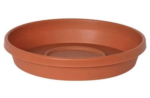TERRACOTTA SAUCER PLANTER 10"