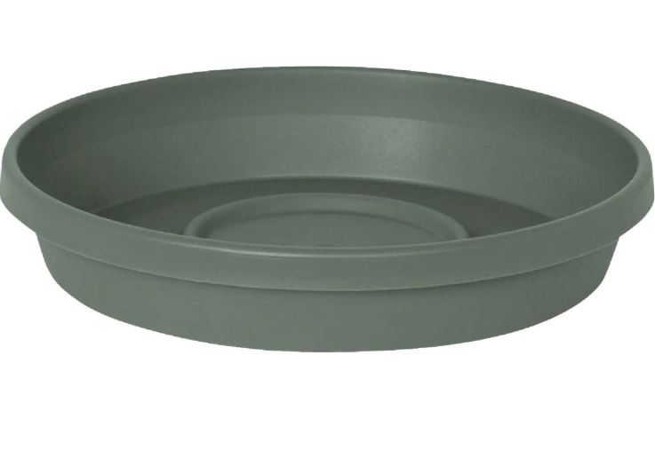 TERRA BASIL SAUCER PLANTER 12"