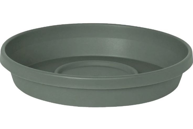 TERRA BASIL SAUCER PLANTER 16"