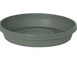 TERRA BASIL SAUCER PLANTER 8"