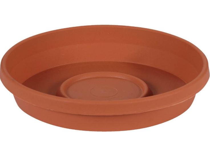 TERRACOTTA SAUCER PLANTER 8"